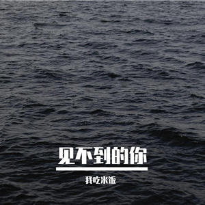 见不到的你