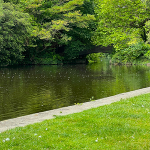 In Case You Didn't Know