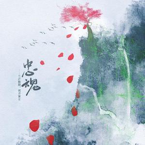 《忠魂——生若骄阳，死若繁星》