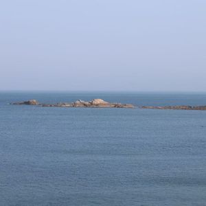 春天也