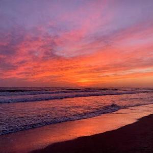 万物不如你 (Cover 张杰)