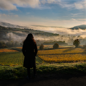 Climbing in the rising sun