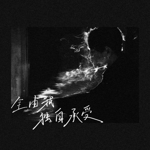 全由我独自承受