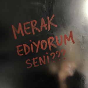 Merak Ediyorum Seni
