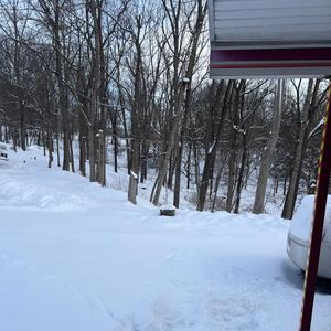 Sylvester Stallone (feat. G-Money)