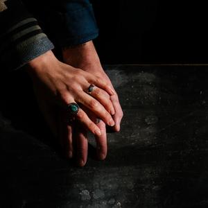 The Raven & The Wolf