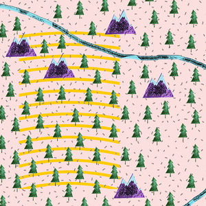 From The Woods To The Lake