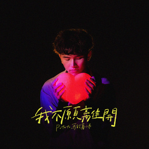 你是劃過夜空中的一顆流星