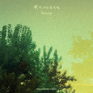 没得选 (Choose C)