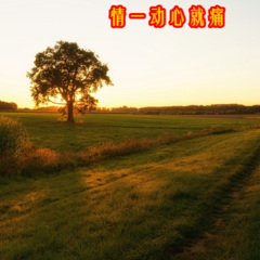 任岁月蹉跎敢问人生几何 (DJ版)