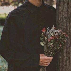 gul we bulbul（花与雀）