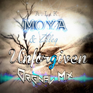 Unforgiven (Original Mix)