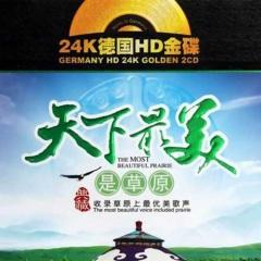 给我一双爱的翅膀