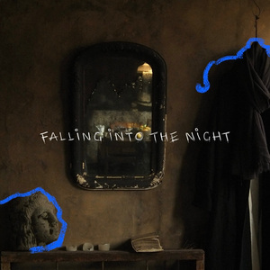 Falling Into The Night