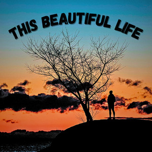 This Beautiful Life