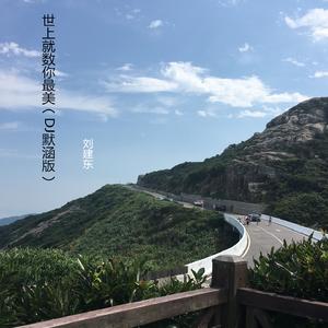 世上就数你最美 (DJ默涵版)