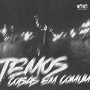 temos (coisas em comum)