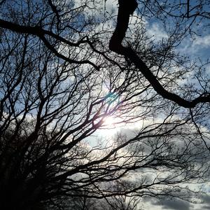 Say What You Will, I Simply Do Not Care