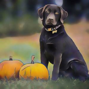 This Ain't a Scene, This Is Halloween - Boo-nus Track