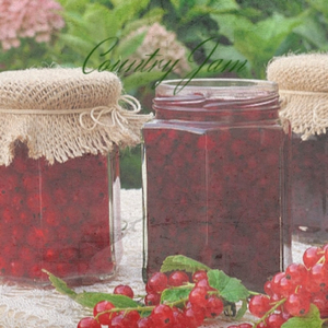 The Other Girlfriend