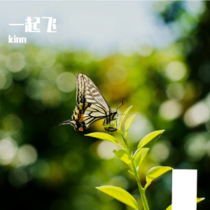 一起飞-kinn