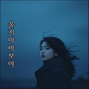 울지마 바보야