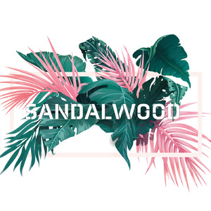Sandalwood (feat. 初音ミク)