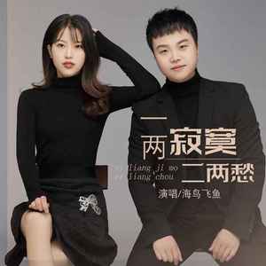 一两寂寞二两愁 (女声独唱版)