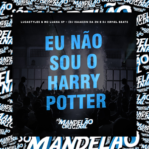 Eu Não Sou o Harry Potter
