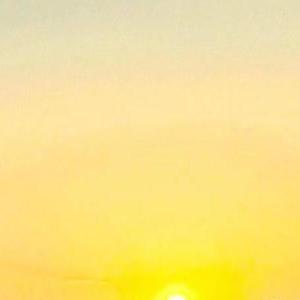 失去的不能重来