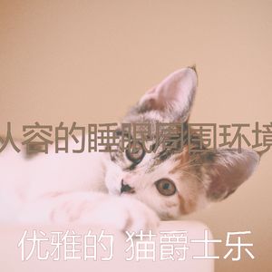 温和小猫梦想