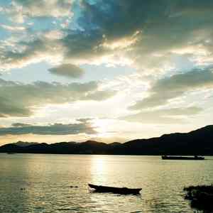 阿尔茨海默的爱