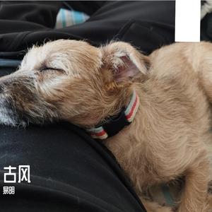 封狼居胥饮马瀚海