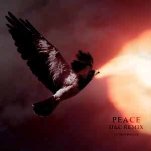 Peace (D&C Remix)