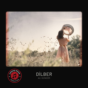 Dilber