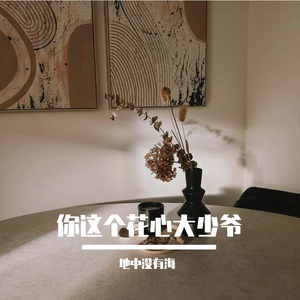 你这花心大少爷