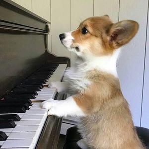 童年 x 庆祝 钢琴版