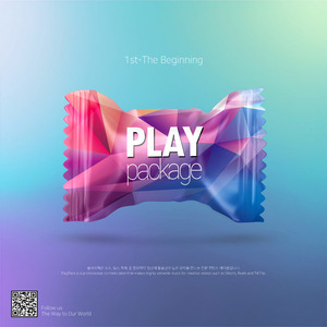 미스테리 추격자(Mystery Chaser)