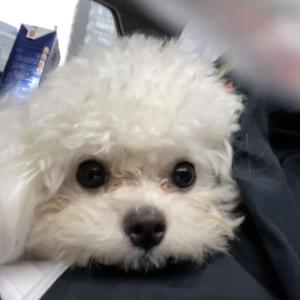 大部分时间都在发呆