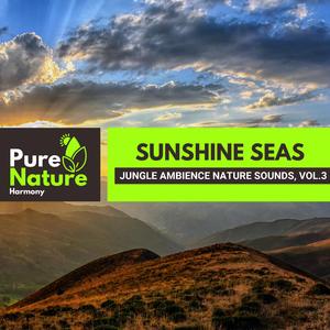 A Light in Rainforest