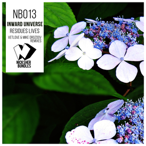 Residues Lives (VetLove & Mike Drozdov Remix)