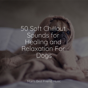A Time for Relaxation