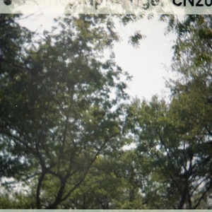 改变(Rica&悟子）