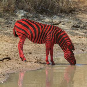 Красные полосы