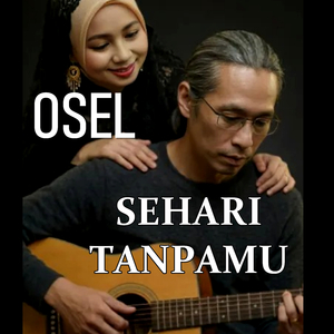 SEHARI TANPAMU