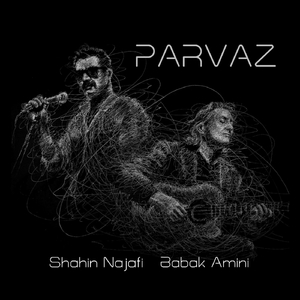 Parvaz (feat. Babak Amini)