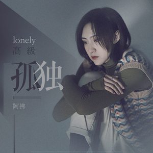 高级孤独