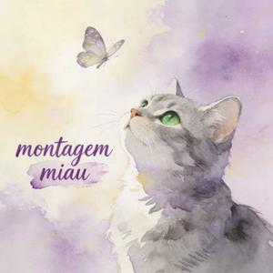 Montagem Miau (中文版)