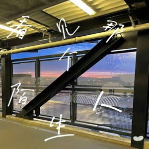 李哈哈-看见那个陌生人