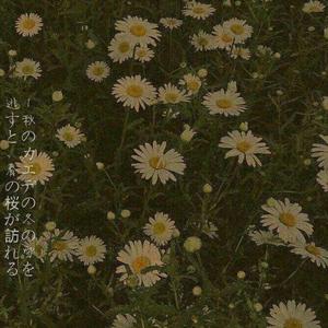 等雾散去（翻自 覆予）（翻自 群星）